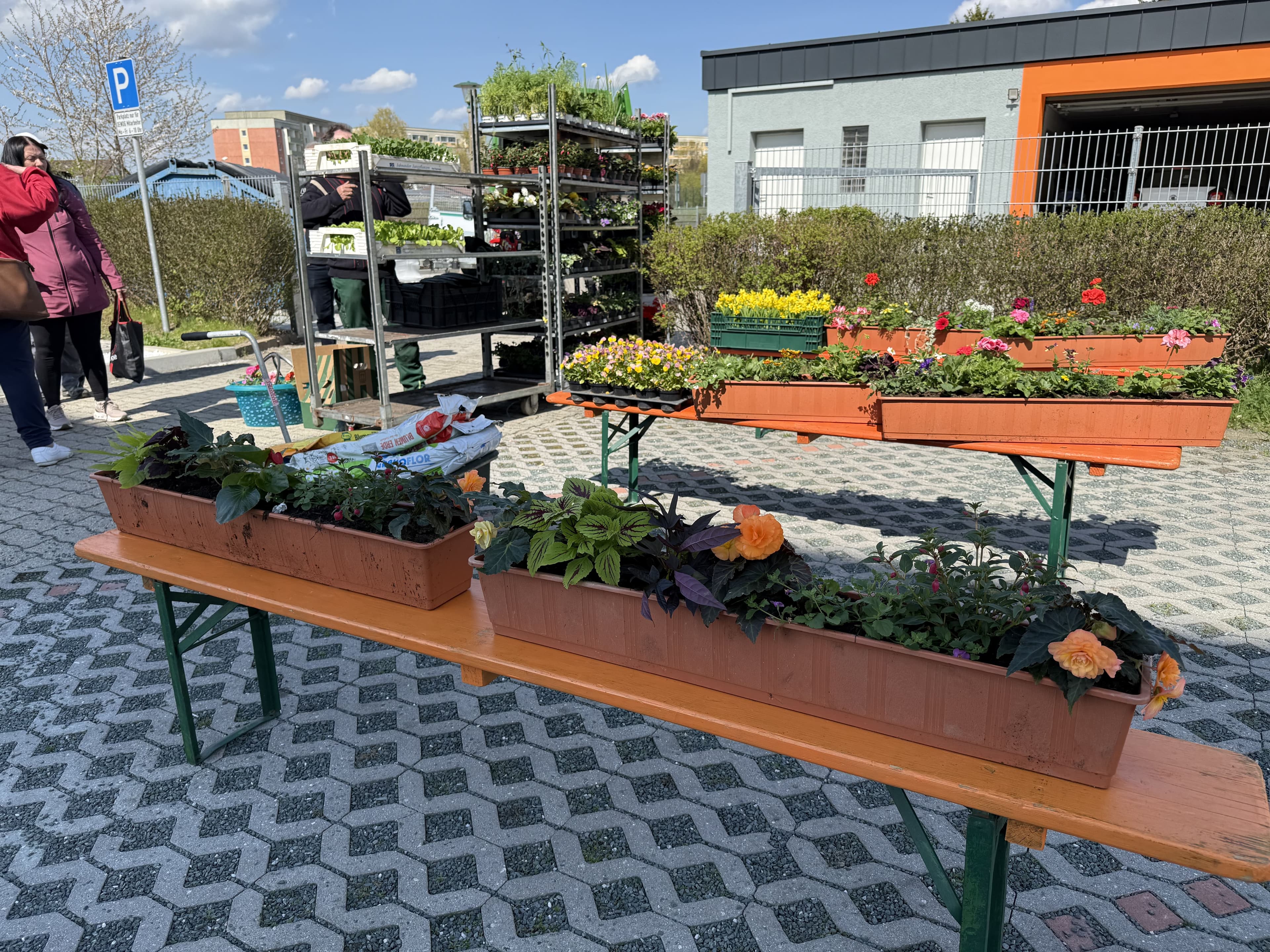 Erster Blütenmarkt der OEWOG – Ein blühendes Ereignis!