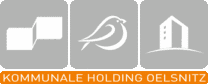 Kommunale Holding Oelsnitz